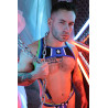 Breedwell Harnais Retro Remix Bleu